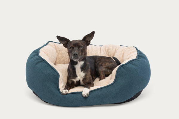 Oval Cuddler SleepDog™ Pet Bed Product Image