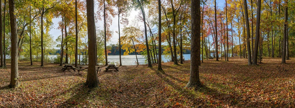 Delaware RV Parks: Your Road Trip Destinations for 2024