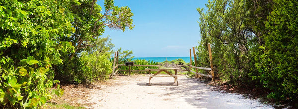 Florida RV Parks: Your Road Trip Destinations for 2024