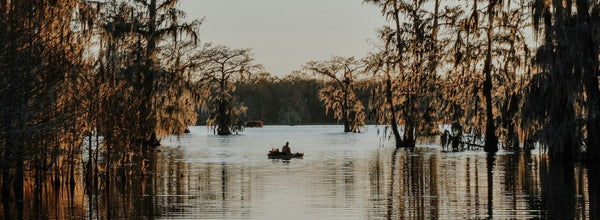 Louisiana RV Parks: Your Ultimate Road Trip Destinations for 2024