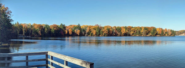 Michigan RV Parks: Your Ultimate Road Trip Destinations with SleepDog® Mattress