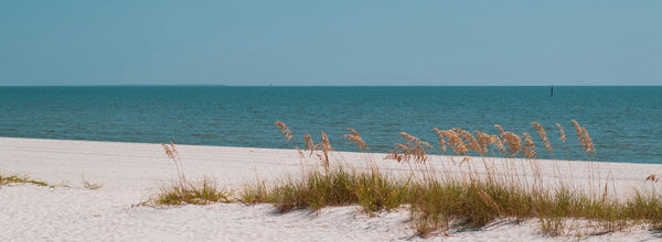 Mississippi RV Parks: Your Ultimate Road Trip Destinations with SleepDog® Mattress