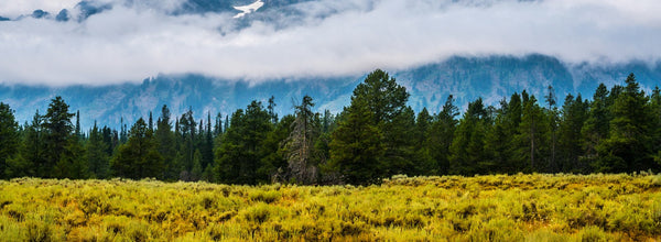 Montana RV Parks: Your Ultimate Road Trip Destinations with SleepDog® Mattress