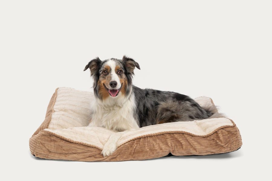 Deluxe Gusseted SleepDog™ Pet Bed Product Image 1
